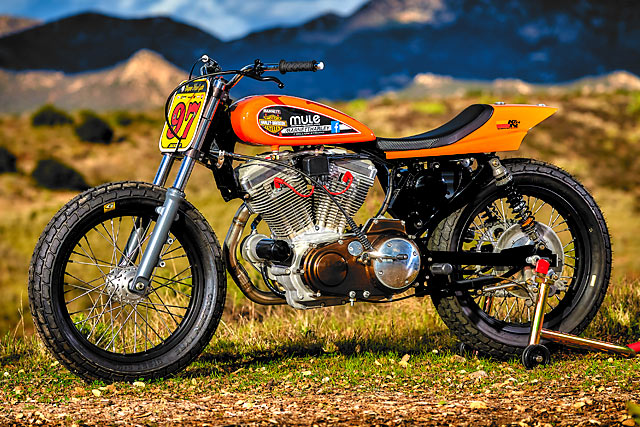 RARELY LEGAL. Mule Motorcycles? Track-Only Harley Super Hooligan